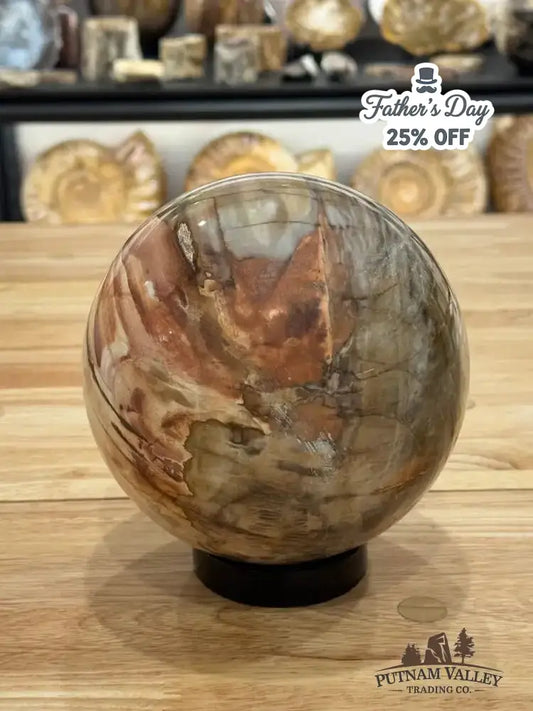 Reserve Petrified Wood Sphere 6.05" - Putnam Valley Trading Co.