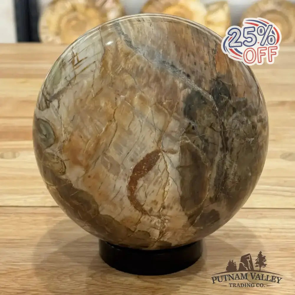 Reserve Petrified Wood Sphere 6.09" - Putnam Valley Trading Co.
