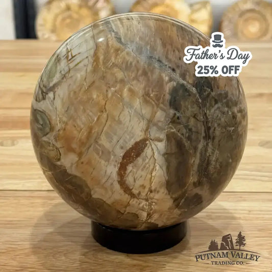 Reserve Petrified Wood Sphere 6.09" - Putnam Valley Trading Co.