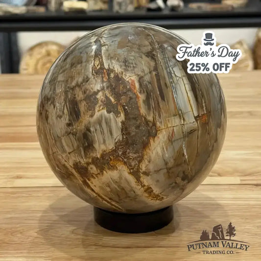 Reserve Petrified Wood Sphere 6.46" - Putnam Valley Trading Co.