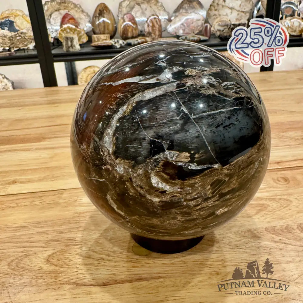 Madagascar Reserve Petrified Wood Sphere 6’’ (UV Reactive!) Sphere