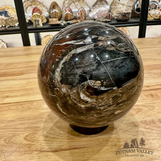 Madagascar Reserve Petrified Wood Sphere 6’’ (UV Reactive!) Sphere