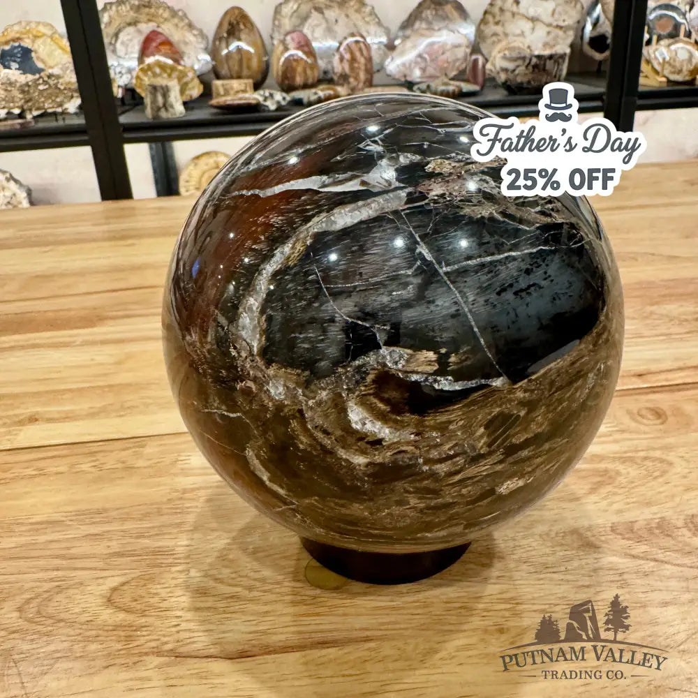 Madagascar Reserve Petrified Wood Sphere 6’’ (UV Reactive!) Sphere