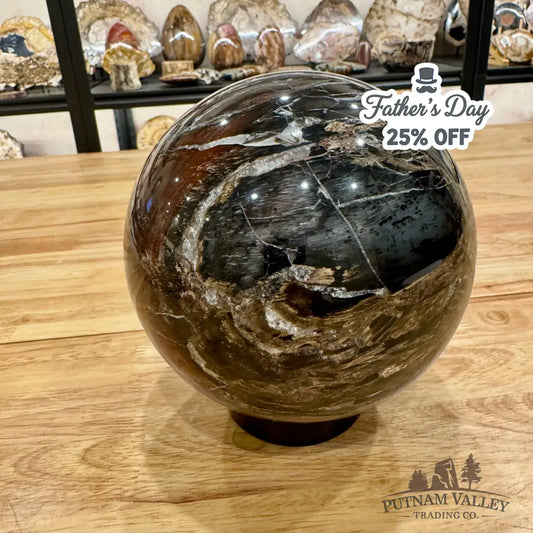 Madagascar Reserve Petrified Wood Sphere 6’’ (UV Reactive!) Sphere