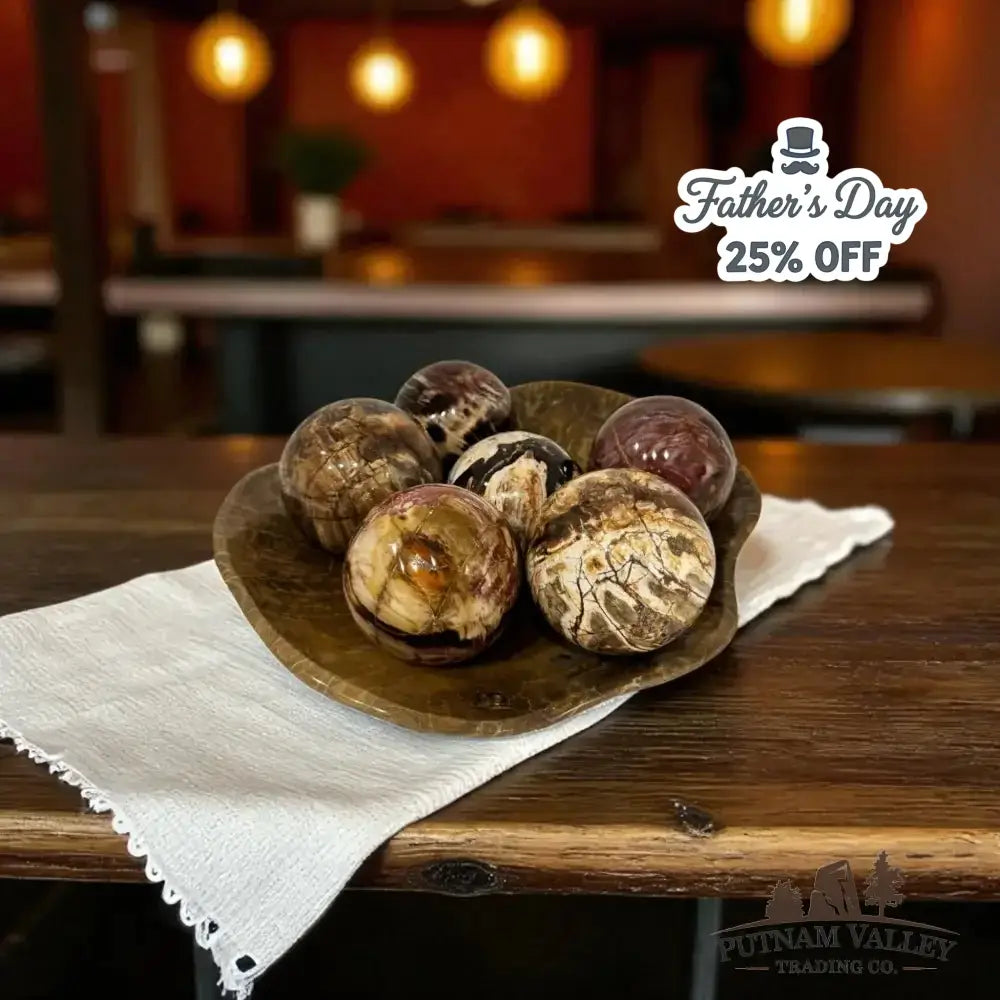 Reserve Petrified Wood Spheres - Putnam Valley Trading Co.