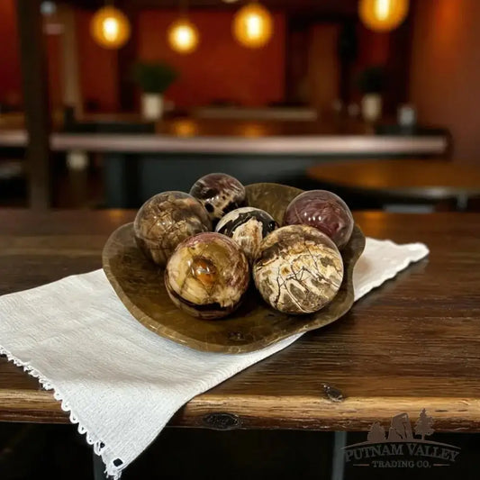 Reserve Petrified Wood Spheres - Putnam Valley Trading Co.