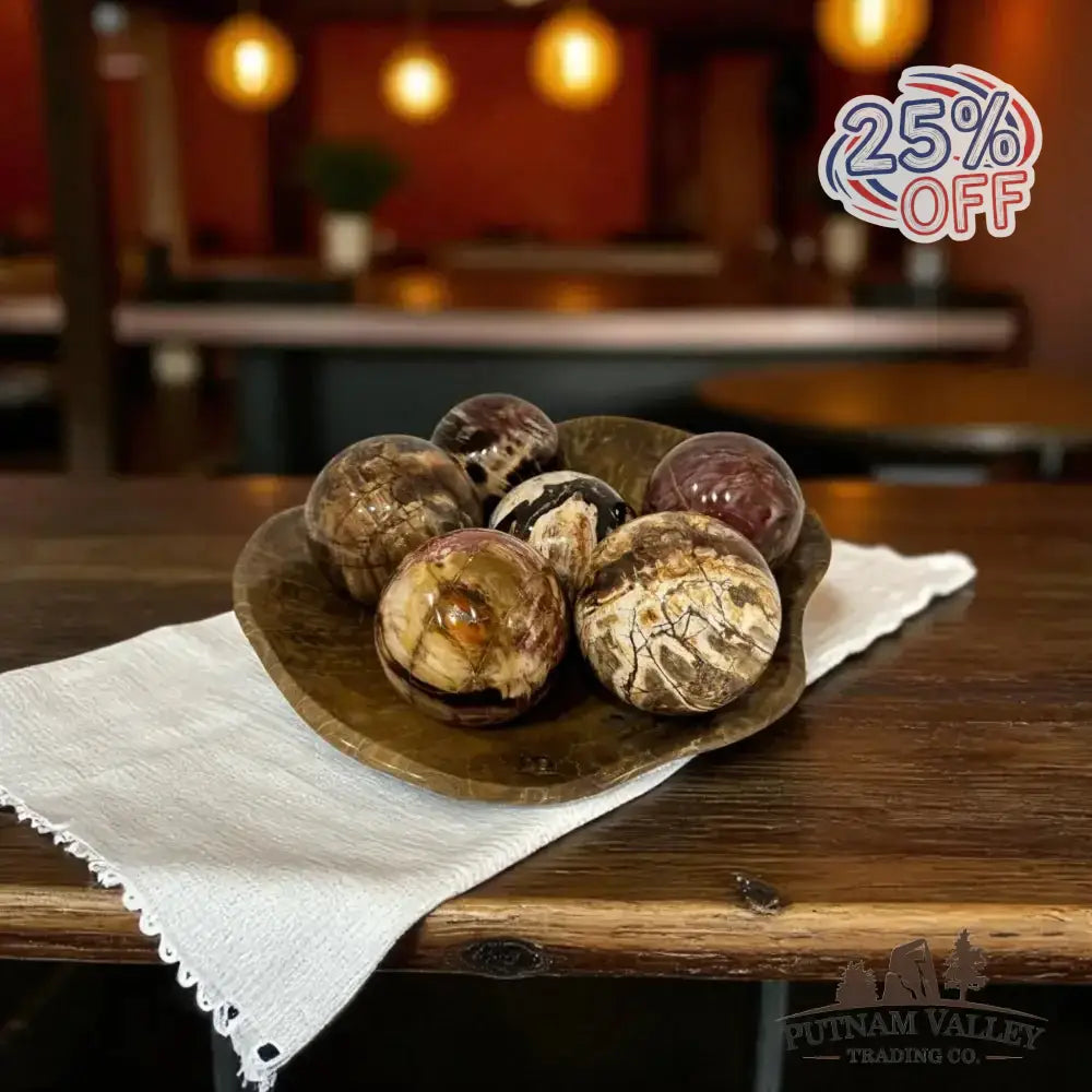 Reserve Petrified Wood Spheres - Putnam Valley Trading Co.
