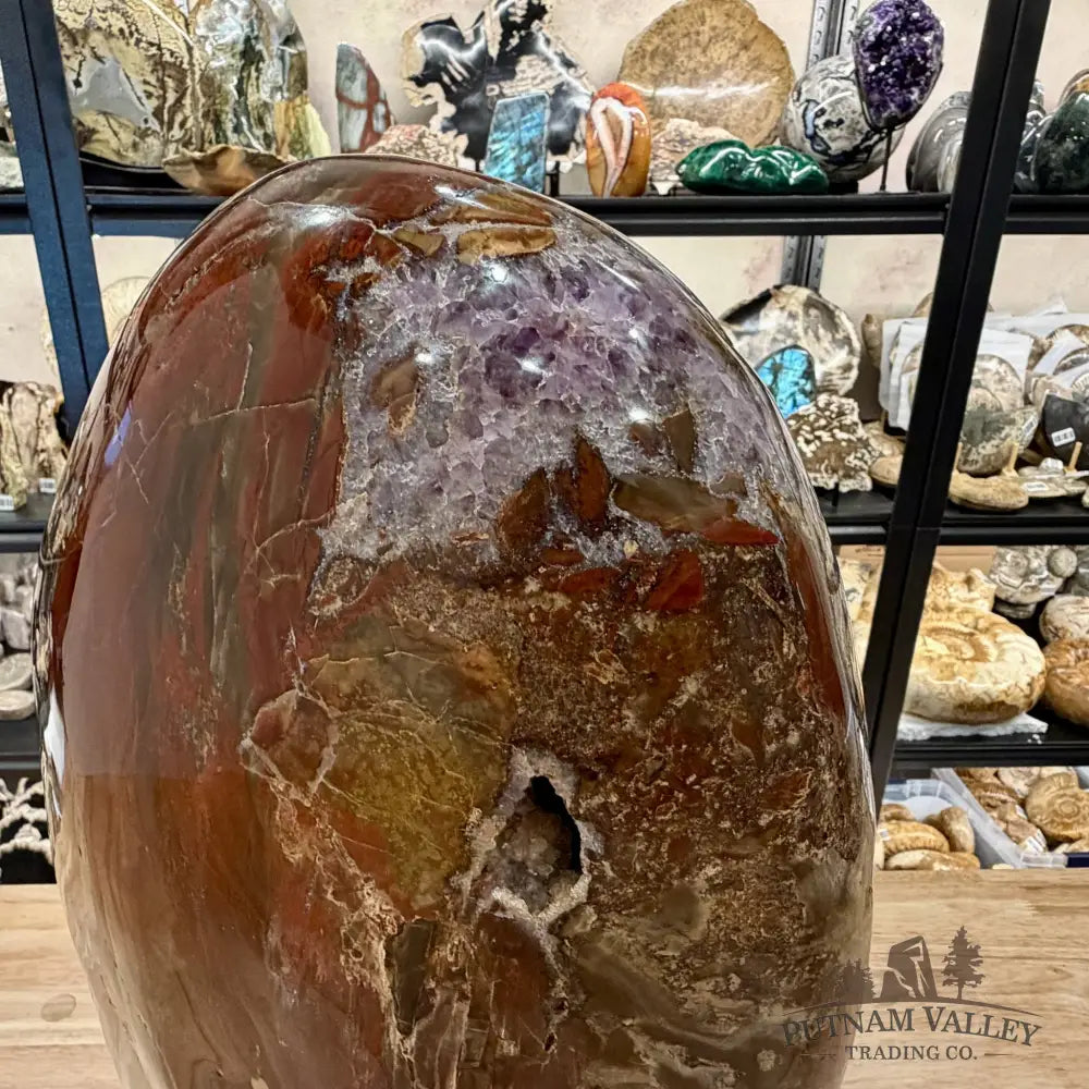 Reserve Madagascar Petrified Wood with Amethyst Statement Piece | 96lb - Free Standing Accent