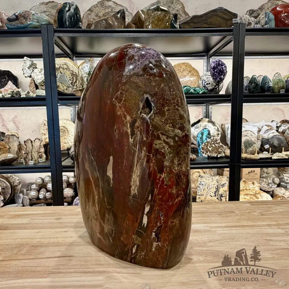 Reserve Madagascar Petrified Wood with Amethyst Statement Piece | 96lb - Free Standing Accent