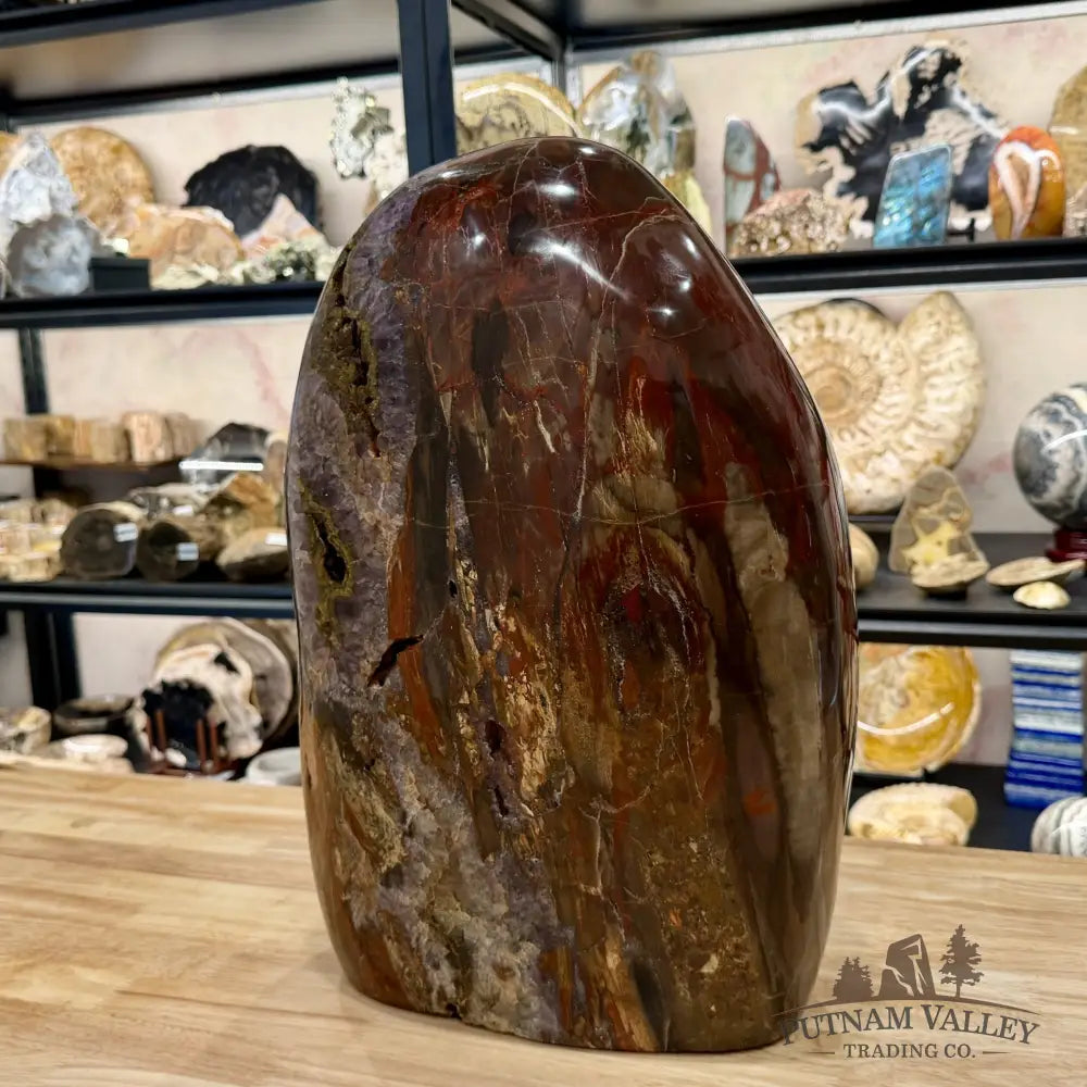 Reserve Madagascar Petrified Wood with Amethyst Statement Piece | 96lb - Free Standing Accent