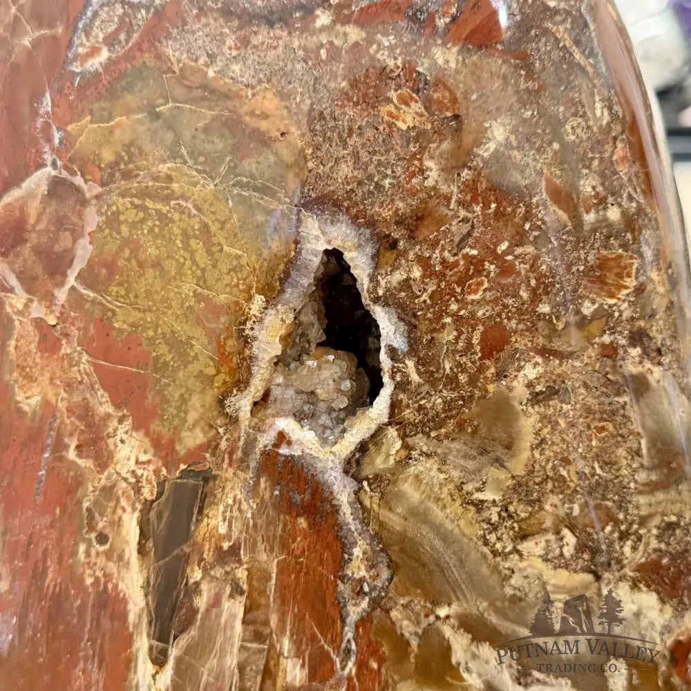 Reserve Madagascar Petrified Wood with Amethyst Statement Piece | 96lb - Free Standing Accent
