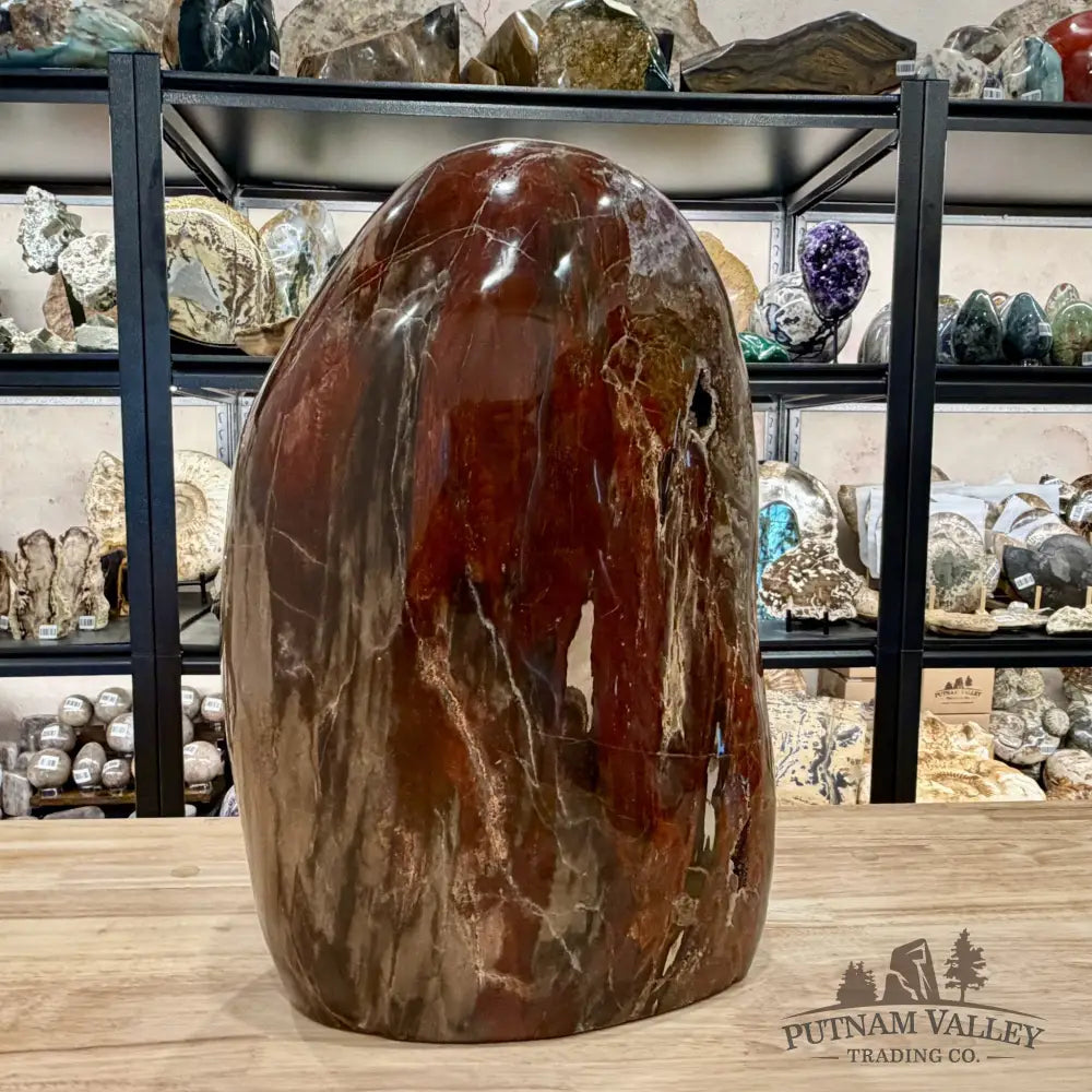 Reserve Madagascar Petrified Wood with Amethyst Statement Piece | 96lb - Free Standing Accent