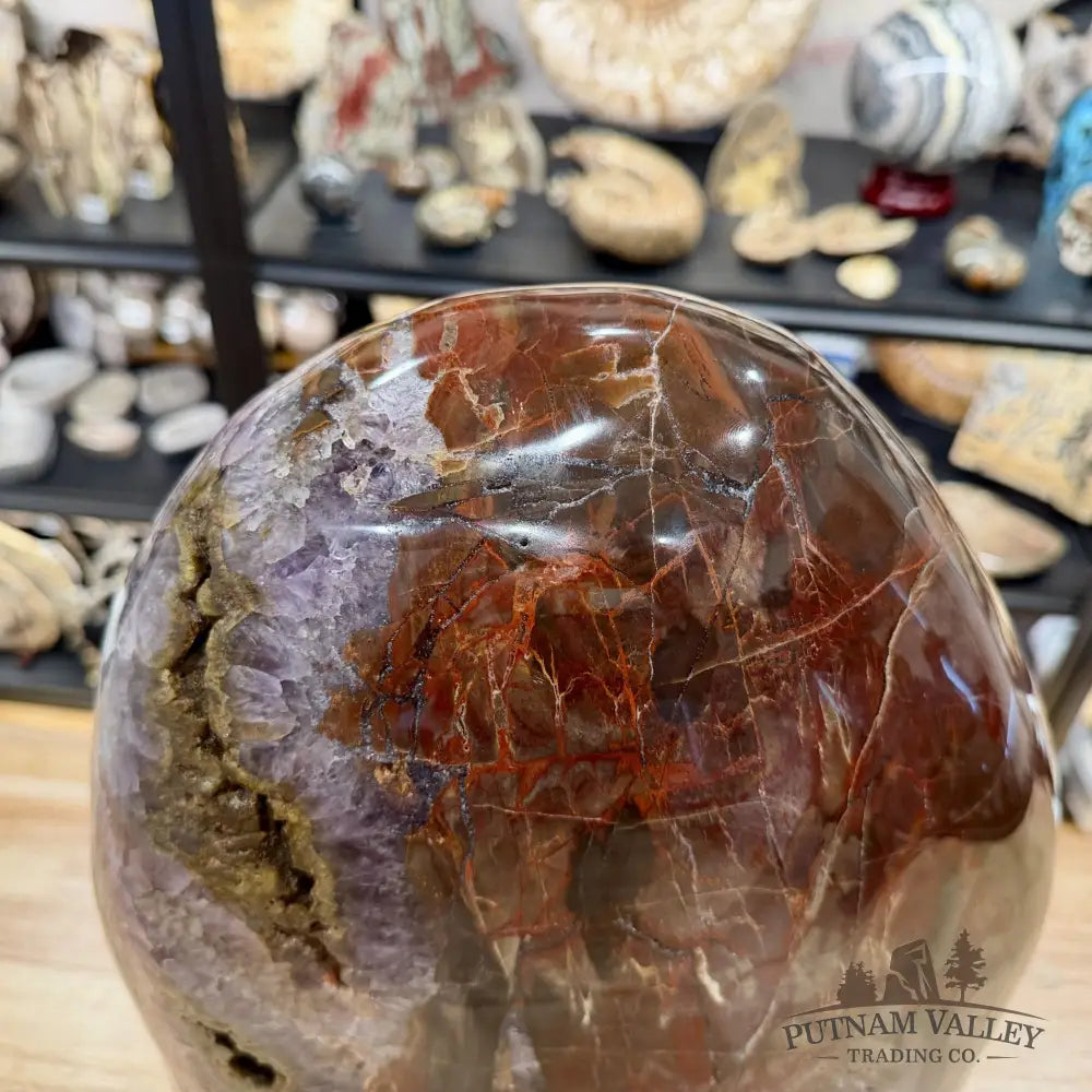 Reserve Madagascar Petrified Wood with Amethyst Statement Piece | 96lb - Free Standing Accent