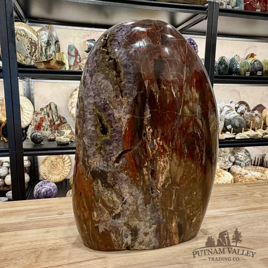 Reserve Madagascar Petrified Wood with Amethyst Statement Piece | 96lb - Free Standing Accent