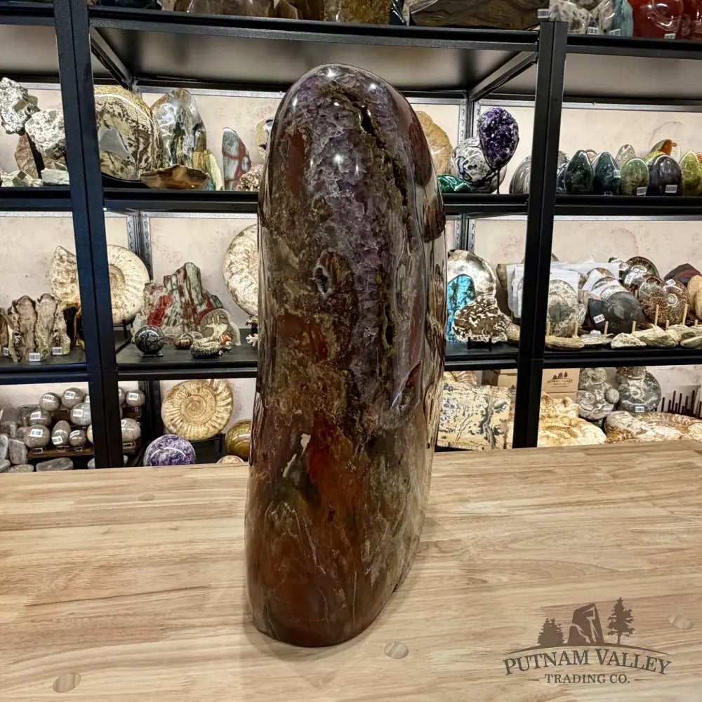 Reserve Madagascar Petrified Wood with Amethyst Statement Piece | 96lb - Free Standing Accent