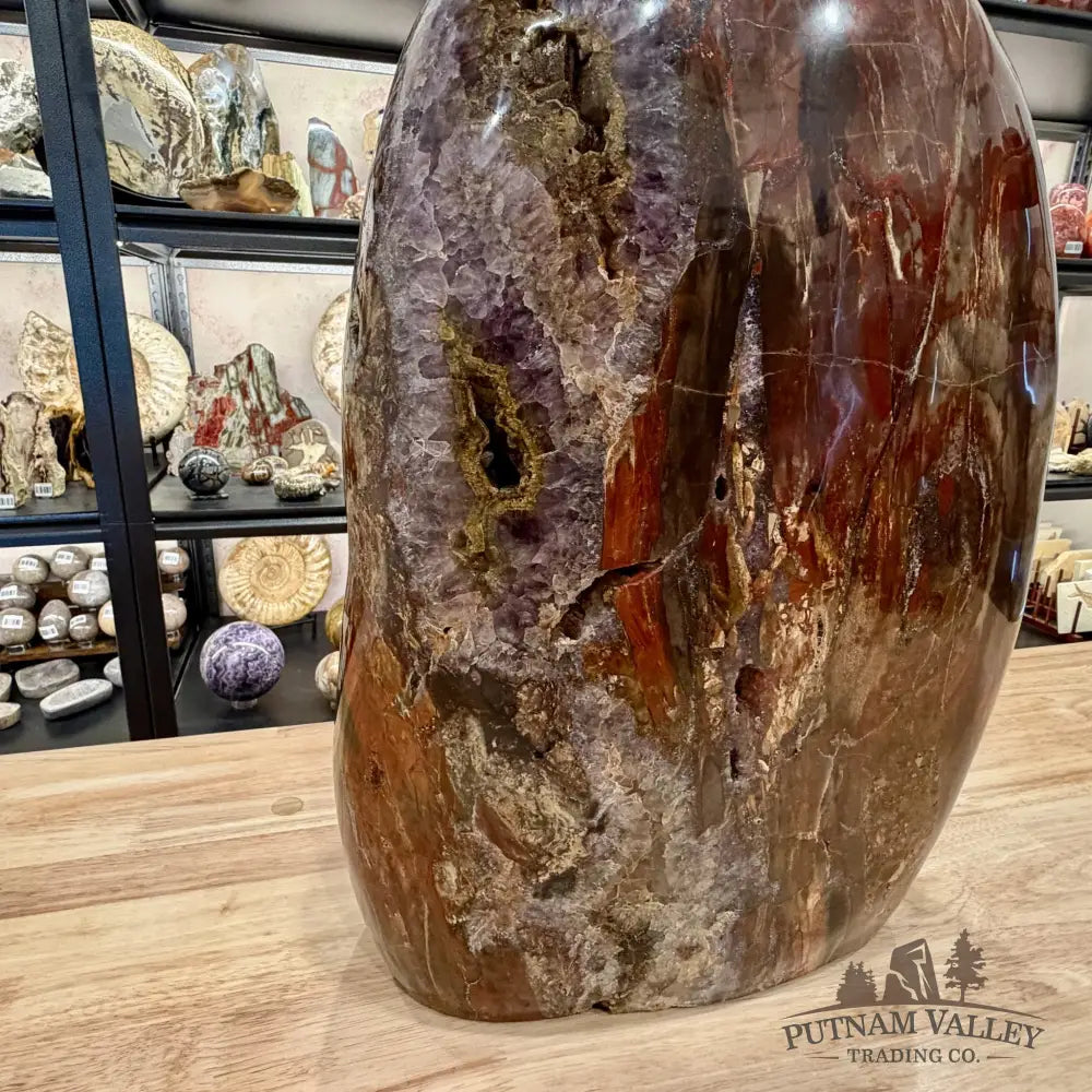 Reserve Madagascar Petrified Wood with Amethyst Statement Piece | 96lb - Free Standing Accent