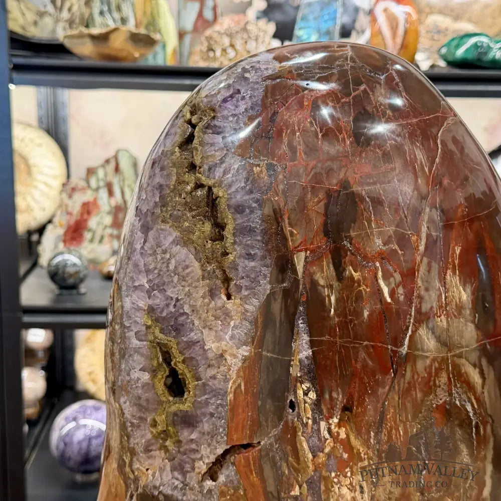 Reserve Madagascar Petrified Wood with Amethyst Statement Piece | 96lb - Free Standing Accent