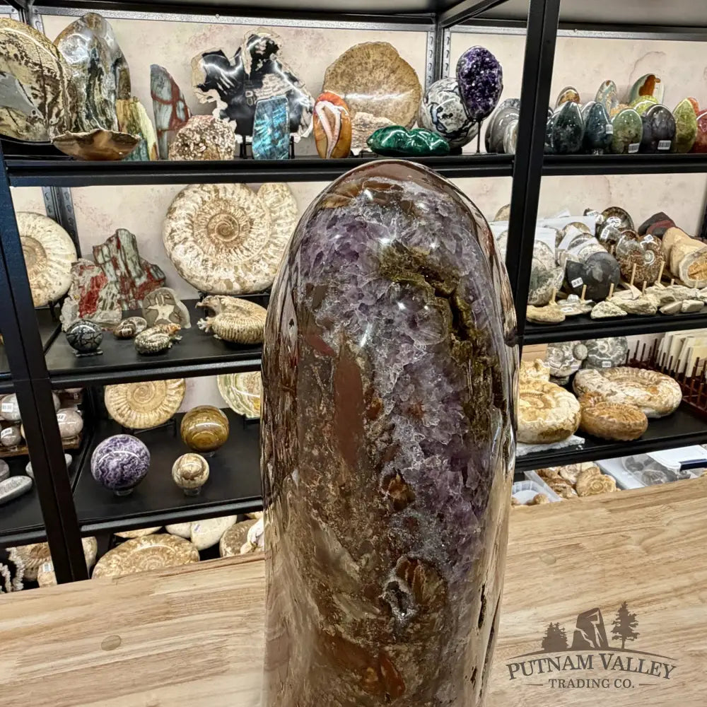 Reserve Madagascar Petrified Wood with Amethyst Statement Piece | 96lb - Free Standing Accent