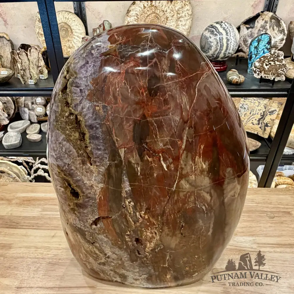 Reserve Madagascar Petrified Wood with Amethyst Statement Piece | 96lb - Free Standing Accent