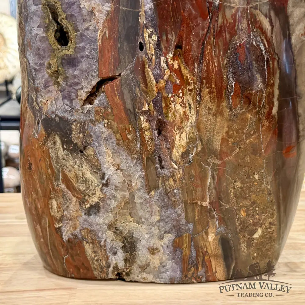 Reserve Madagascar Petrified Wood with Amethyst Statement Piece | 96lb - Free Standing Accent