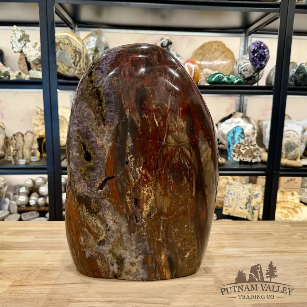 Reserve Madagascar Petrified Wood with Amethyst Statement Piece | 96lb - Free Standing Accent