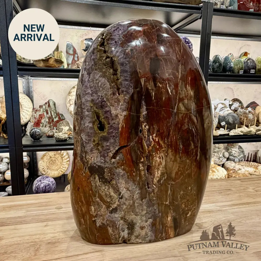 Reserve Madagascar Petrified Wood with Amethyst Statement Piece | 96lb - Free Standing Accent