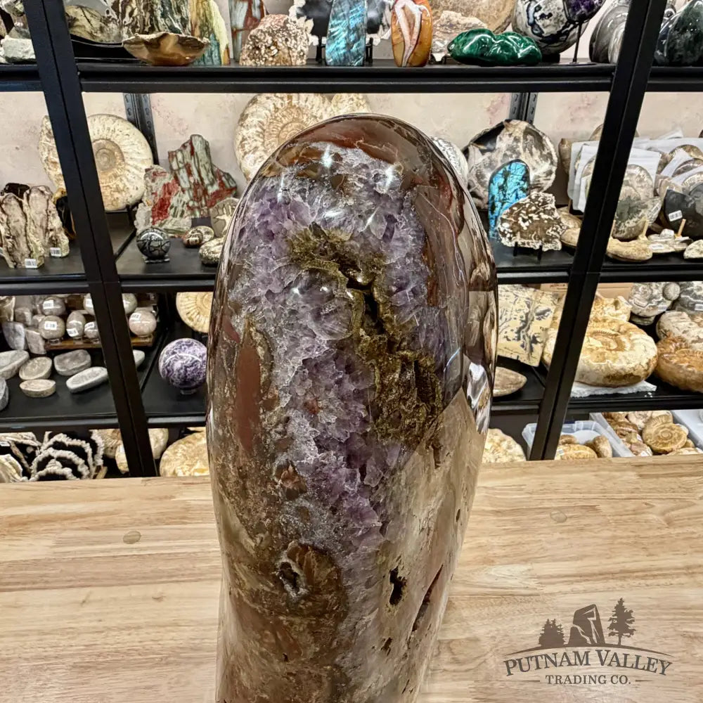 Reserve Madagascar Petrified Wood with Amethyst Statement Piece | 96lb - Free Standing Accent