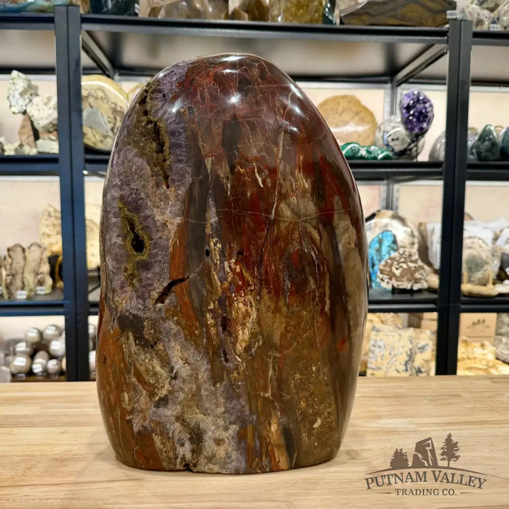 Reserve Madagascar Petrified Wood with Amethyst Statement Piece | 96lb - Free Standing Accent