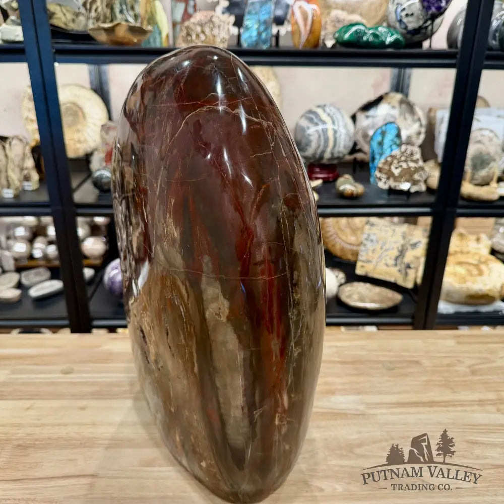 Reserve Madagascar Petrified Wood with Amethyst Statement Piece | 96lb - Free Standing Accent
