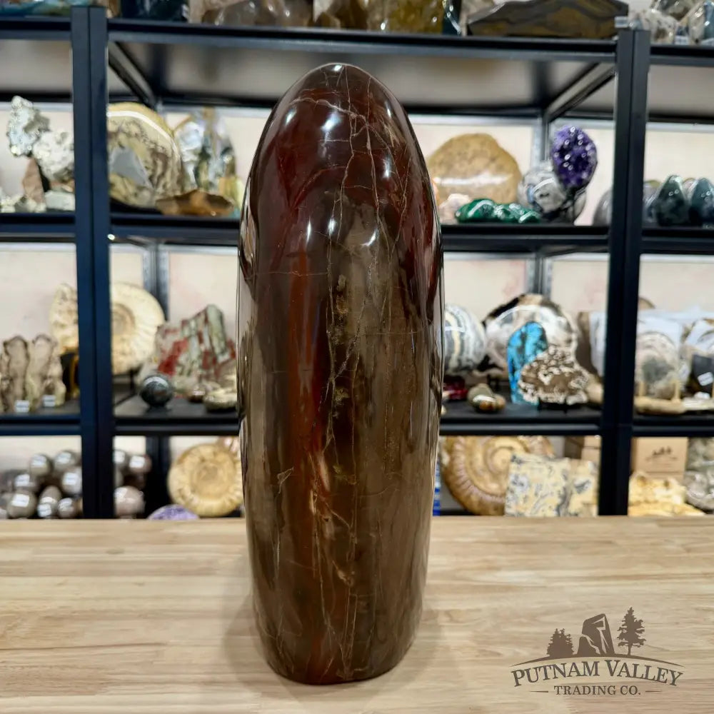 Reserve Madagascar Petrified Wood with Amethyst Statement Piece | 96lb - Free Standing Accent