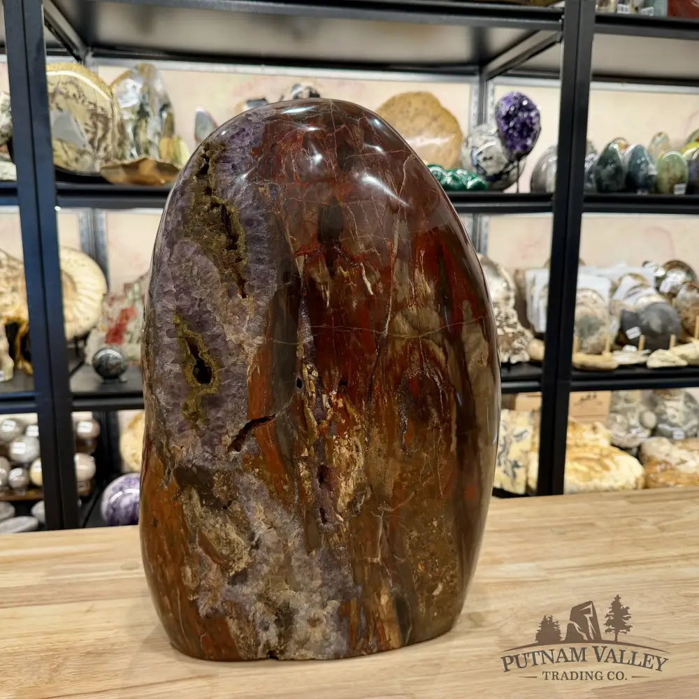 Reserve Madagascar Petrified Wood with Amethyst Statement Piece | 96lb - Free Standing Accent