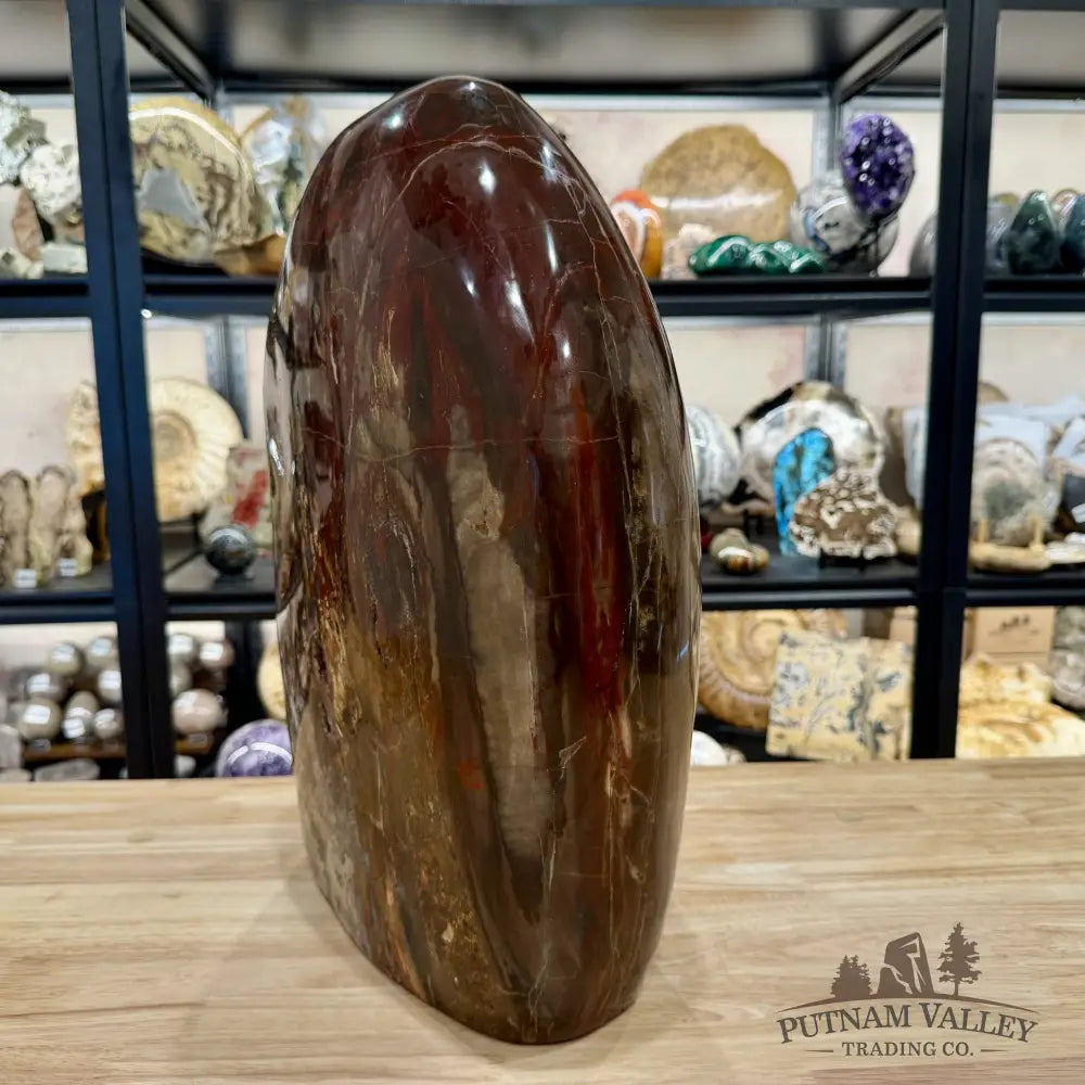 Reserve Madagascar Petrified Wood with Amethyst Statement Piece | 96lb - Free Standing Accent