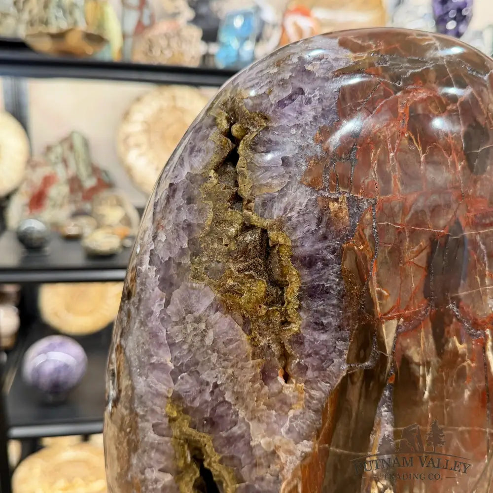 Reserve Madagascar Petrified Wood with Amethyst Statement Piece | 96lb - Free Standing Accent