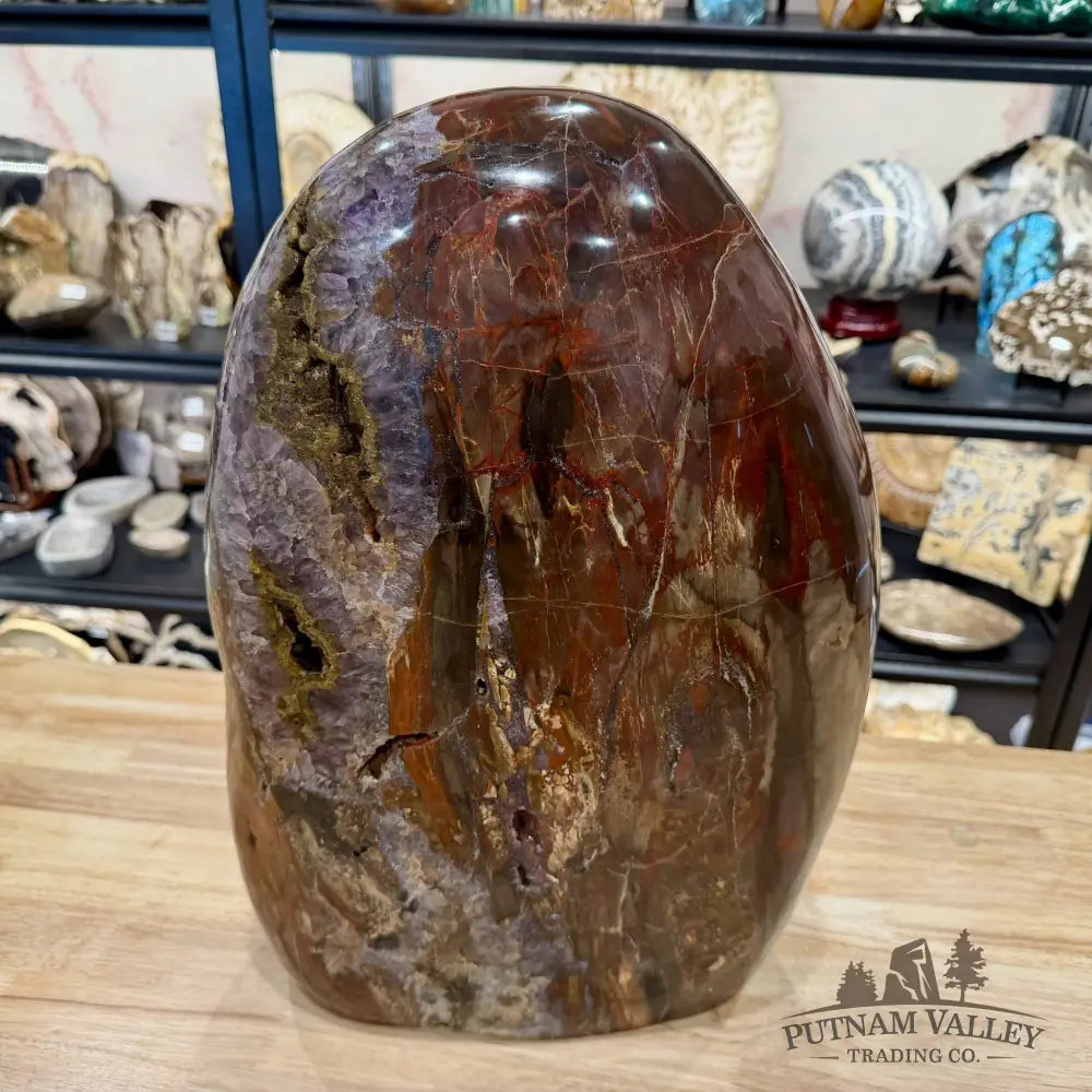 Reserve Madagascar Petrified Wood with Amethyst Statement Piece | 96lb - Free Standing Accent