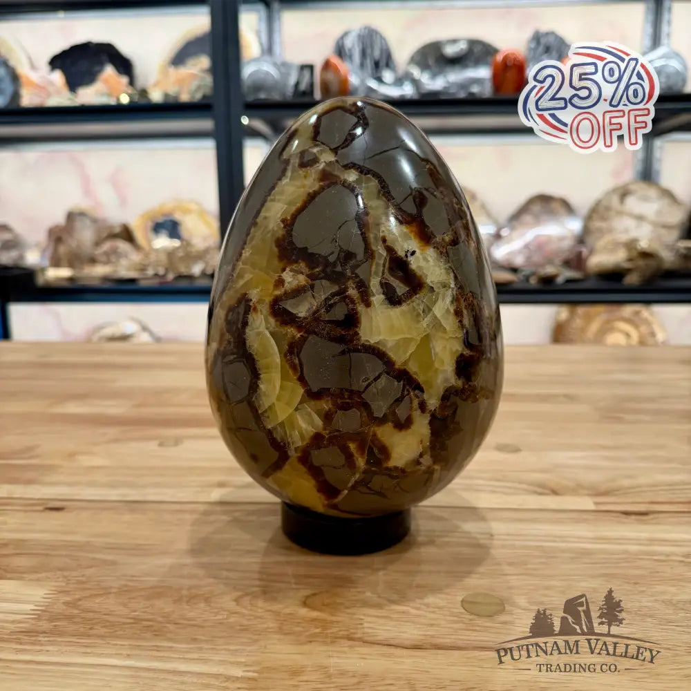 Reserve Madagascar Septarian Egg 8.75’’ Egg