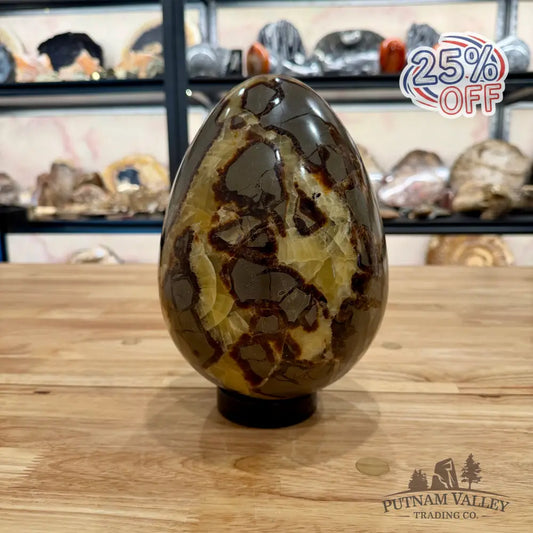 Reserve Madagascar Septarian Egg 8.75’’ Egg