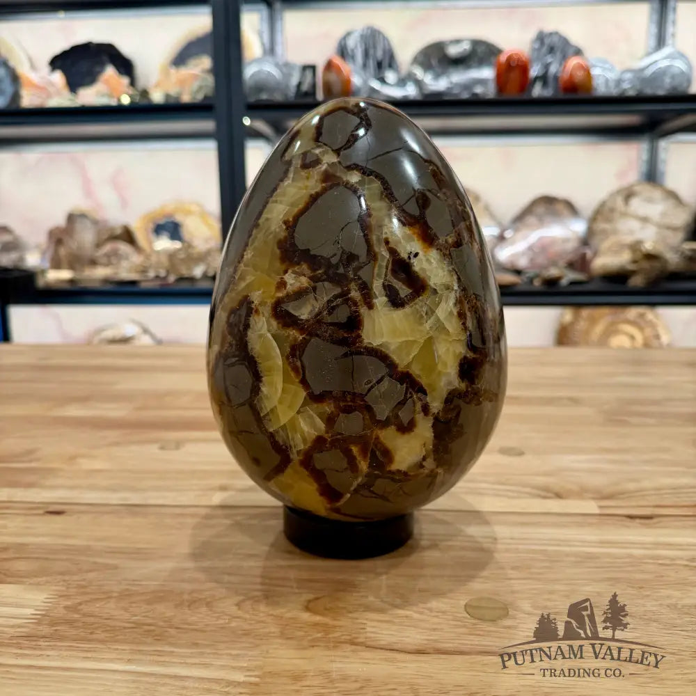 Reserve Madagascar Septarian Egg 8.75’’ Egg