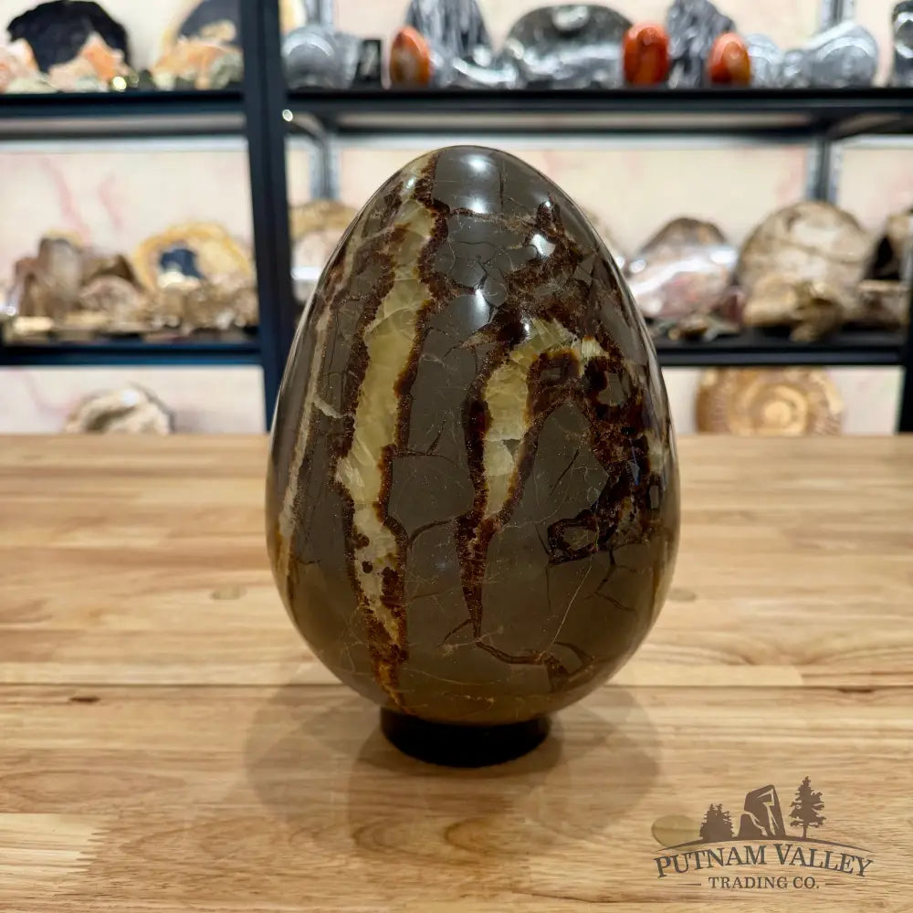 Reserve Madagascar Septarian Egg 8.75’’ Egg