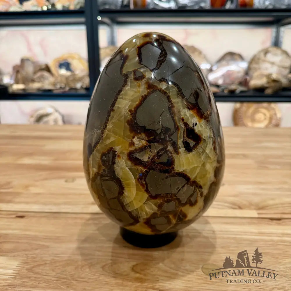 Reserve Madagascar Septarian Egg 8.75’’ Egg