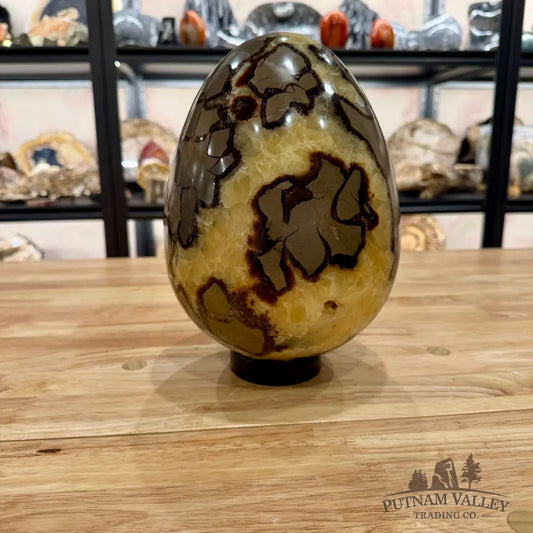 Madagascar Septarian Egg 9.5’’ Egg