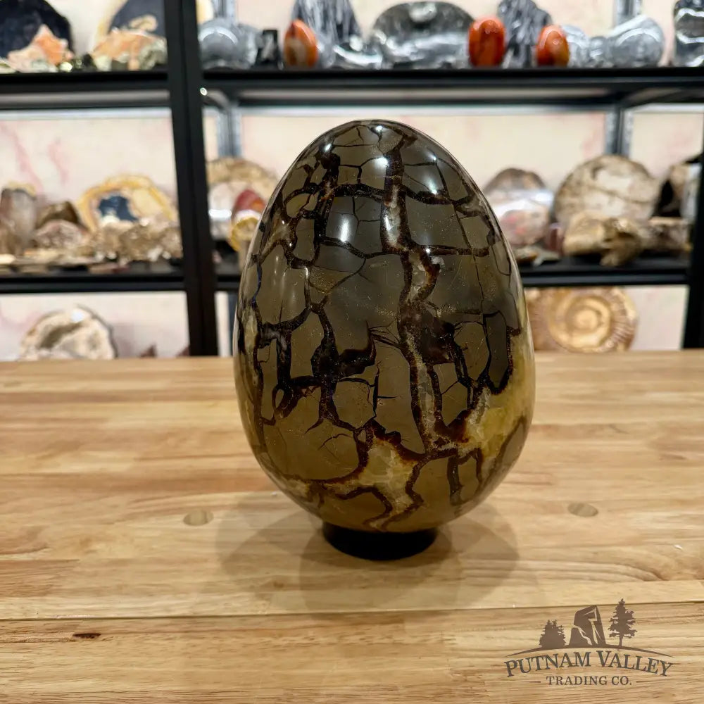 Madagascar Septarian Egg 9.5’’ Egg