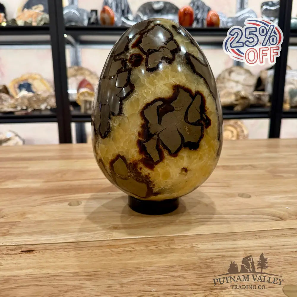 Madagascar Septarian Egg 9.5’’ Egg