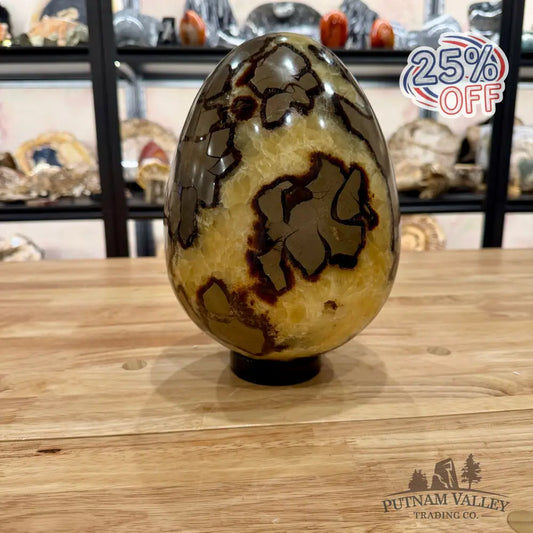Madagascar Septarian Egg 9.5’’ Egg
