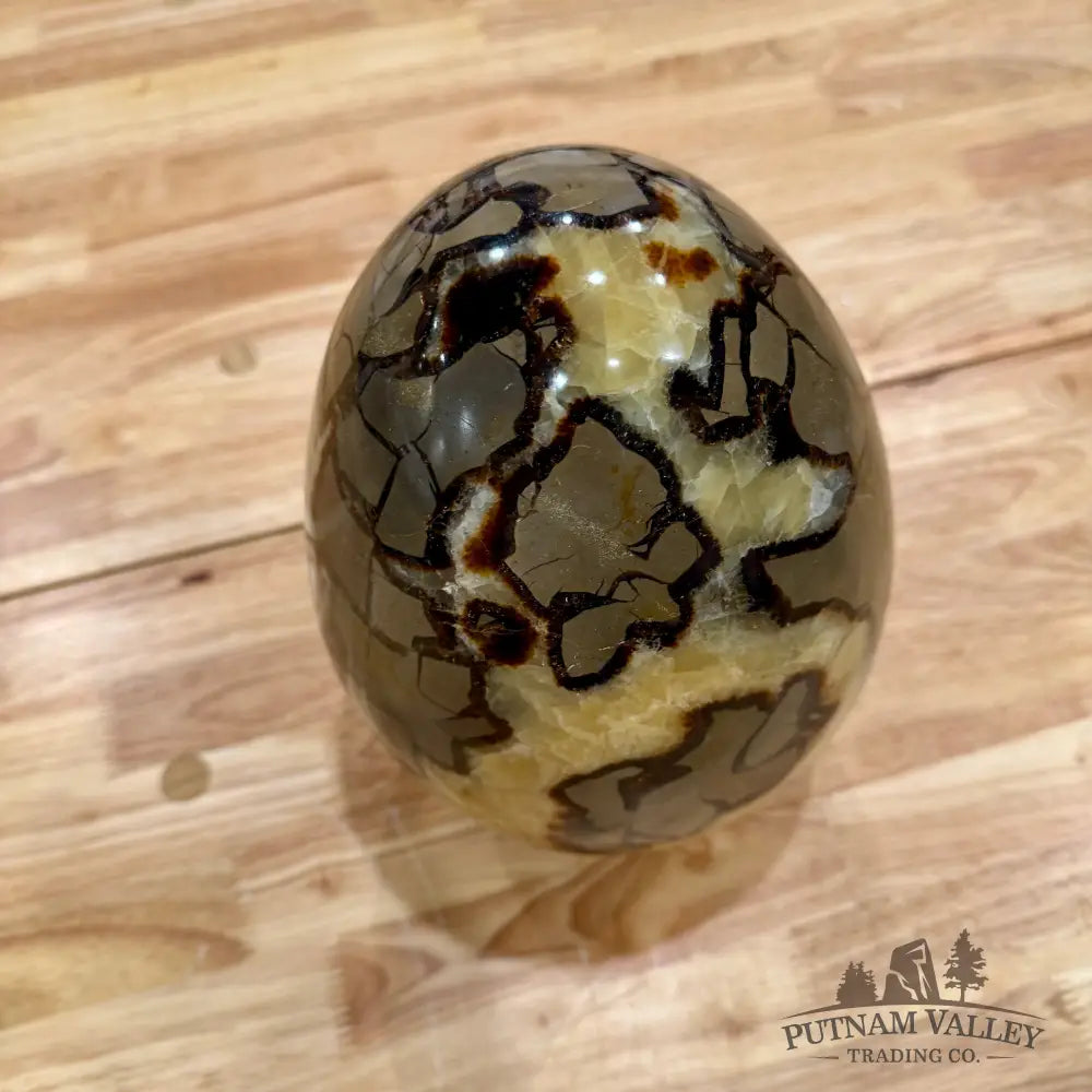 Madagascar Septarian Egg 9.5’’ Egg