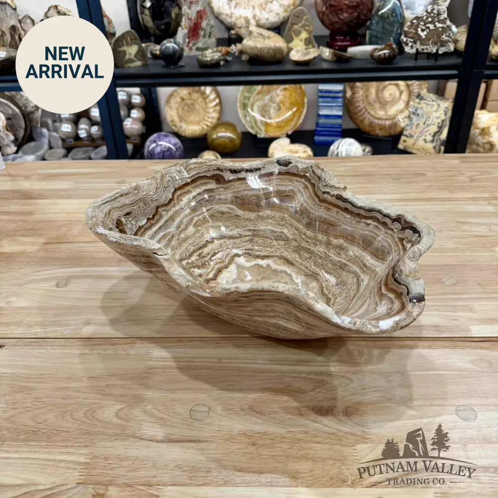 Reserve Mexican Chocolate Onyx Rustic Bowl 15.5’’ - Bowl