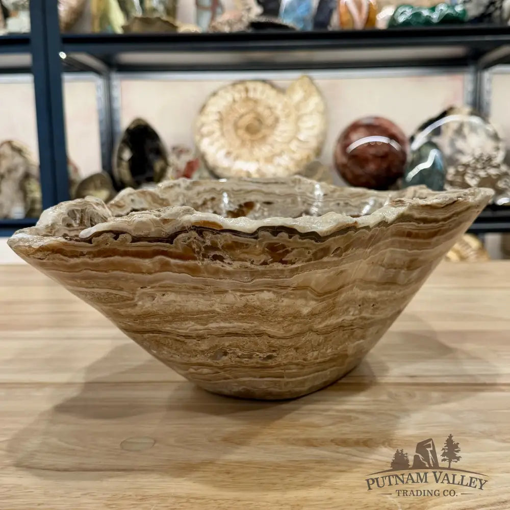 Reserve Mexican Chocolate Onyx Rustic Bowl 15.5’’ - Bowl