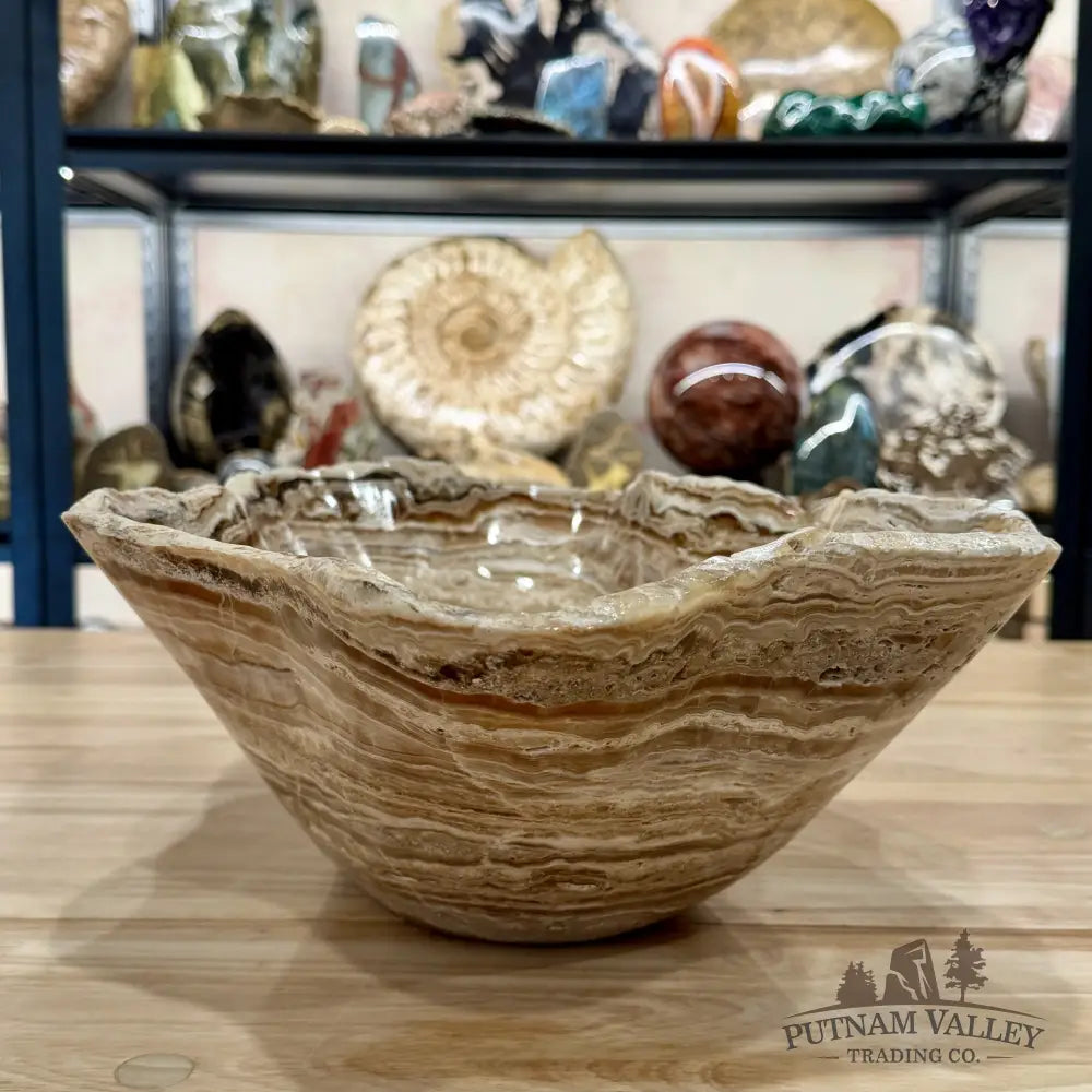 Reserve Mexican Chocolate Onyx Rustic Bowl 15.5’’ - Bowl