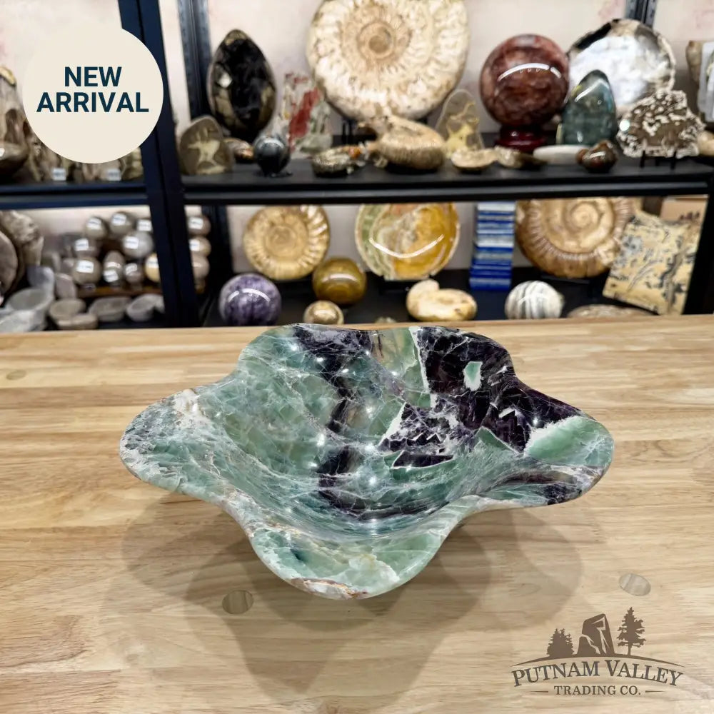 Reserve Mexican Fluorite Bowl 11.25’’ - Bowl