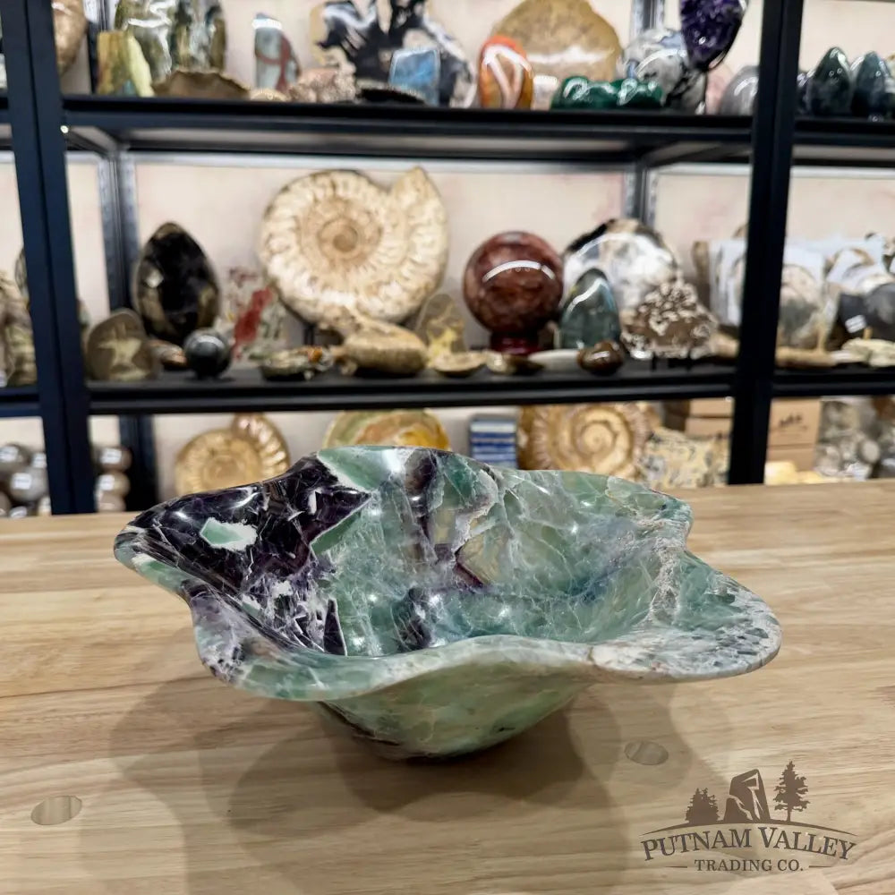 Reserve Mexican Fluorite Bowl 11.25’’ - Bowl