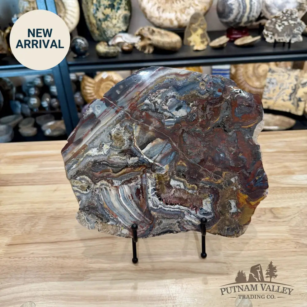 Reserve Mexican Lace Agate & Sarape Jasper Slab 10.25’’ + Stand - Slab